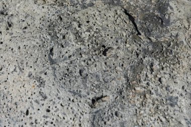 Taş doku kalıbının fotoğrafı