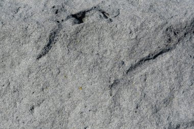 Taş doku kalıbının fotoğrafı