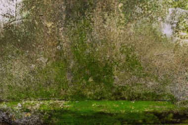 Duvar dokusu deseninin fotoğrafı