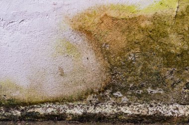 Duvar dokusu deseninin fotoğrafı