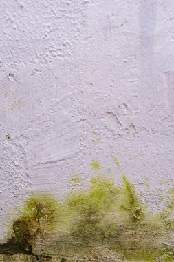 Duvar dokusu deseninin fotoğrafı