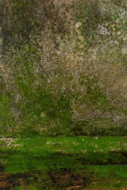 Duvar dokusu deseninin fotoğrafı