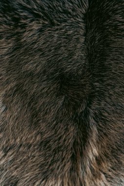 Kürk dokusu kalıbının fotoğrafı