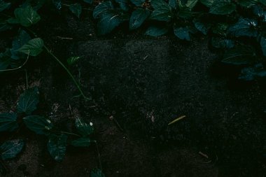 Zemin dokusu deseninin fotoğrafı