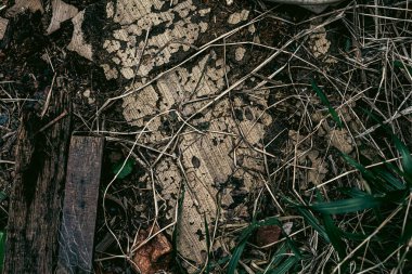 Zemin dokusu deseninin fotoğrafı