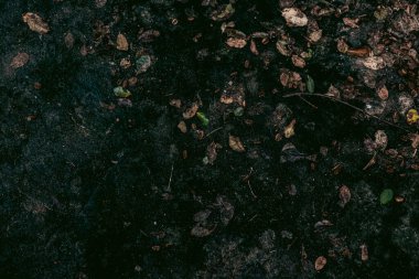 Zemin dokusu deseninin fotoğrafı