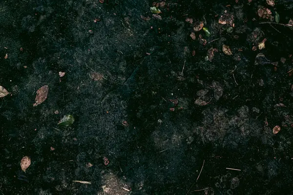 Zemin dokusu deseninin fotoğrafı