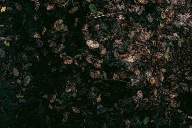 Zemin dokusu deseninin fotoğrafı