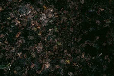 Zemin dokusu deseninin fotoğrafı