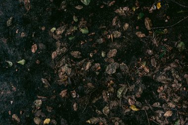 Zemin dokusu deseninin fotoğrafı