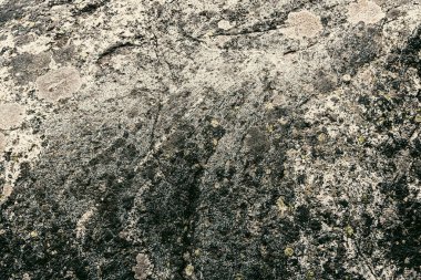 Taş doku kalıbının fotoğrafı