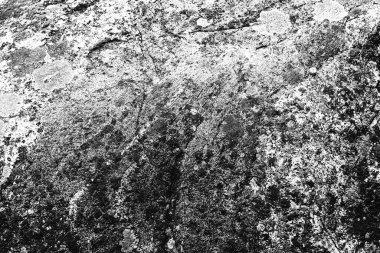 Taş doku kalıbının fotoğrafı