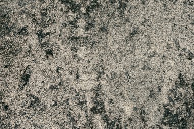 Taş doku kalıbının fotoğrafı