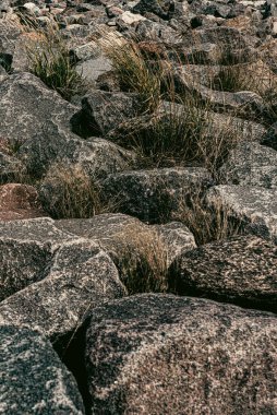 Taş doku kalıbının fotoğrafı