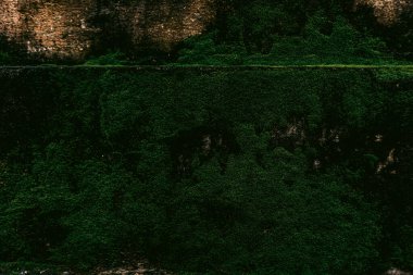 Duvar dokusu deseninin fotoğrafı