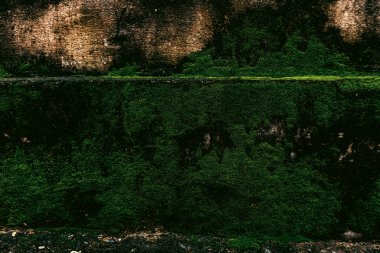 Duvar dokusu deseninin fotoğrafı