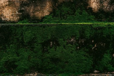 Duvar dokusu deseninin fotoğrafı