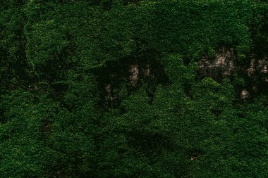 Duvar dokusu deseninin fotoğrafı