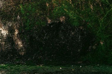 Duvar dokusu deseninin fotoğrafı