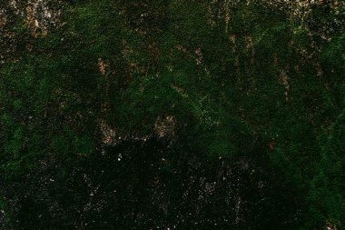 Duvar dokusu deseninin fotoğrafı