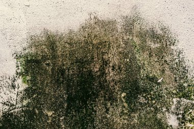 Duvar dokusu deseninin fotoğrafı