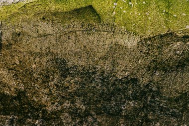 Duvar dokusu deseninin fotoğrafı