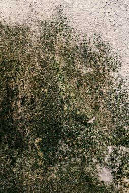 Duvar dokusu deseninin fotoğrafı