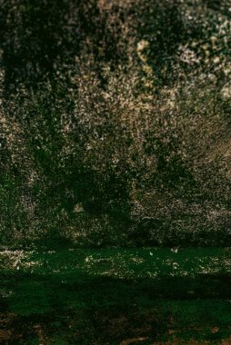 Duvar dokusu deseninin fotoğrafı