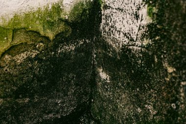 Duvar dokusu deseninin fotoğrafı