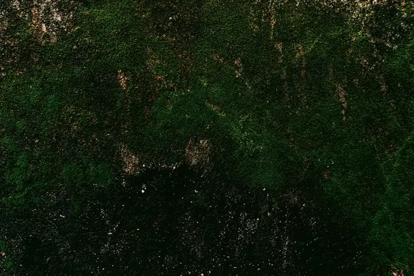 Duvar dokusu deseninin fotoğrafı