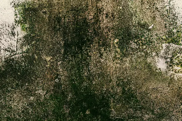 Duvar dokusu deseninin fotoğrafı