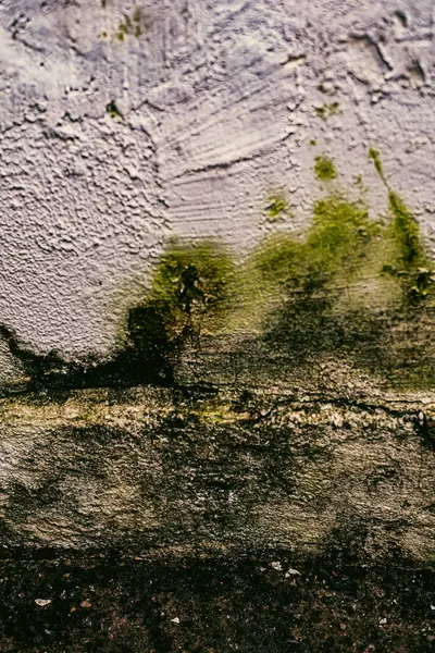 Duvar dokusu deseninin fotoğrafı