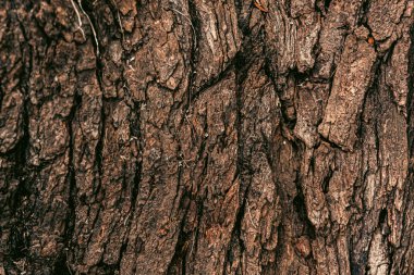 Ahşap desenli fotoğraf