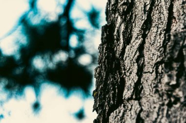 Ahşap desenli fotoğraf