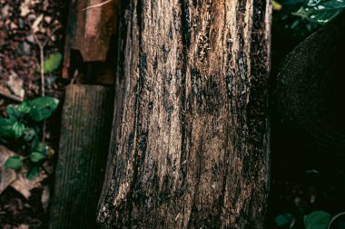 Ahşap desenli fotoğraf