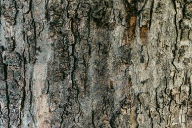 Ahşap desenli fotoğraf