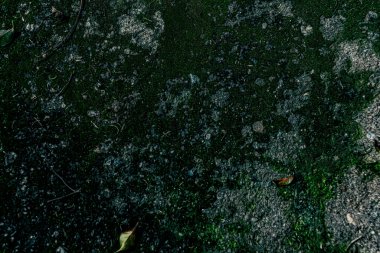 Zemin dokusu deseninin fotoğrafı