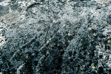 Taş doku kalıbının fotoğrafı