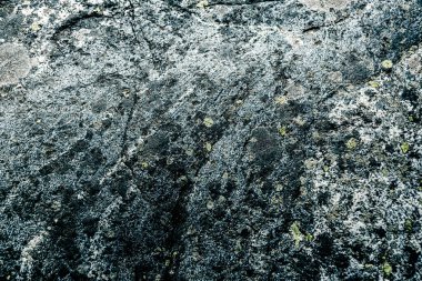 Taş doku kalıbının fotoğrafı