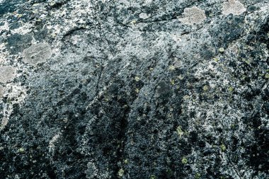 Taş doku kalıbının fotoğrafı