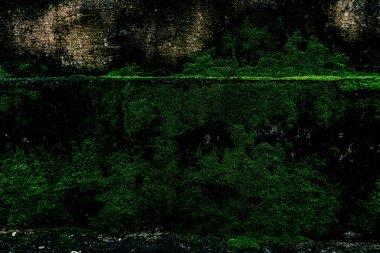 Duvar dokusu deseninin fotoğrafı