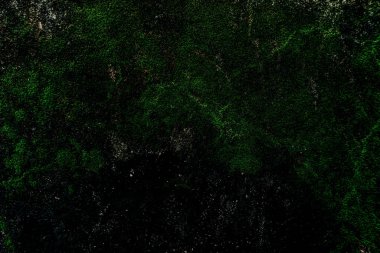 Duvar dokusu deseninin fotoğrafı