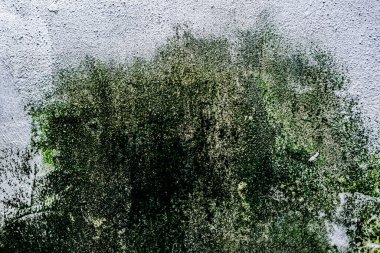 Duvar dokusu deseninin fotoğrafı