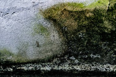 Duvar dokusu deseninin fotoğrafı