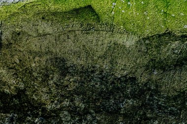 Duvar dokusu deseninin fotoğrafı