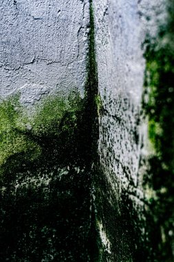 Duvar dokusu deseninin fotoğrafı