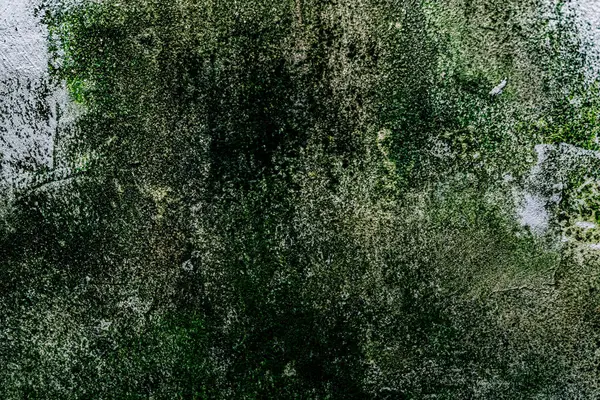 Duvar dokusu deseninin fotoğrafı