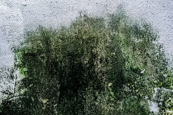 Duvar dokusu deseninin fotoğrafı