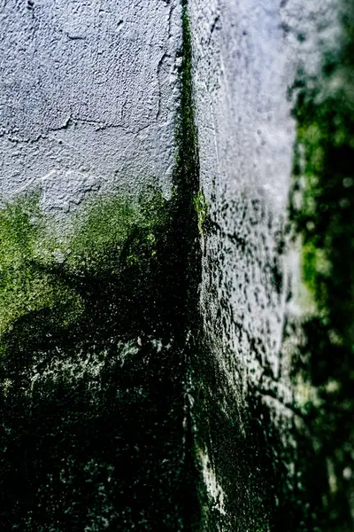 Duvar dokusu deseninin fotoğrafı