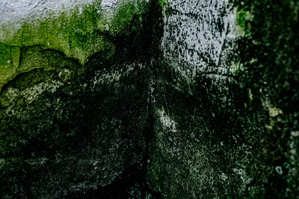 Duvar dokusu deseninin fotoğrafı